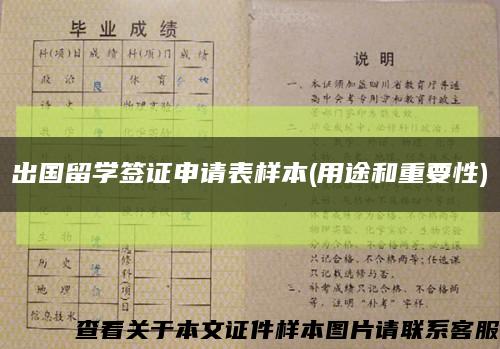 出国留学签证申请表样本(用途和重要性)缩略图