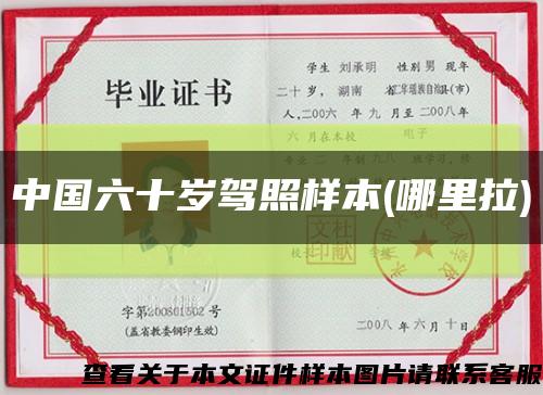 中国六十岁驾照样本(哪里拉)缩略图