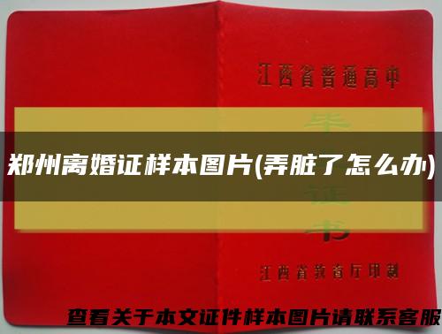 郑州离婚证样本图片(弄脏了怎么办)缩略图