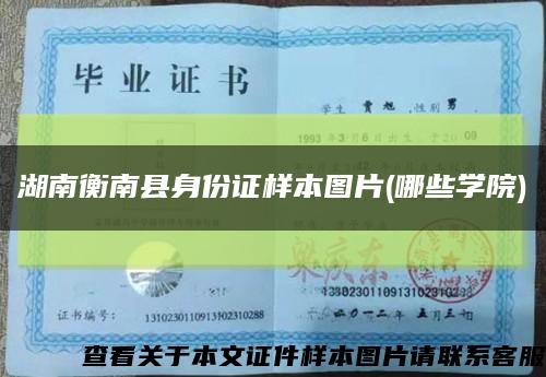 湖南衡南县身份证样本图片(哪些学院)缩略图