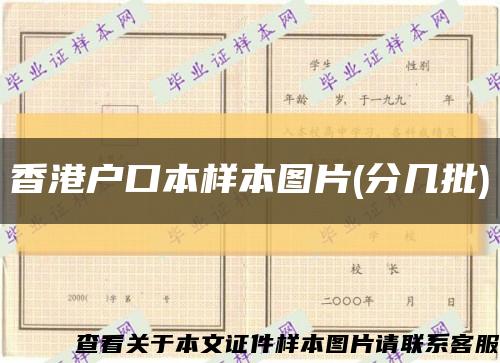 香港户口本样本图片(分几批)缩略图