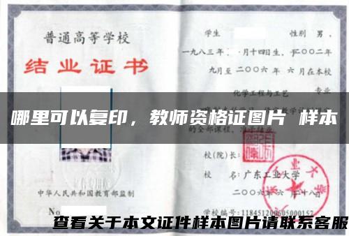 哪里可以复印，教师资格证图片 样本缩略图