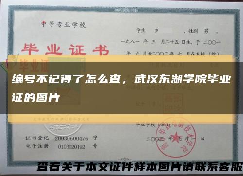 编号不记得了怎么查，武汉东湖学院毕业证的图片缩略图