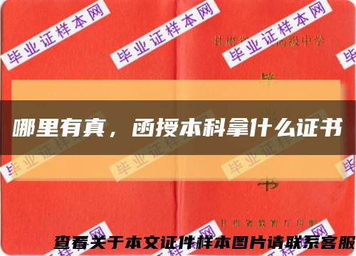 哪里有真，函授本科拿什么证书缩略图