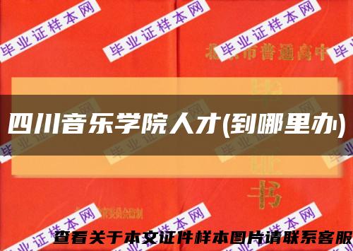 四川音乐学院人才(到哪里办)缩略图