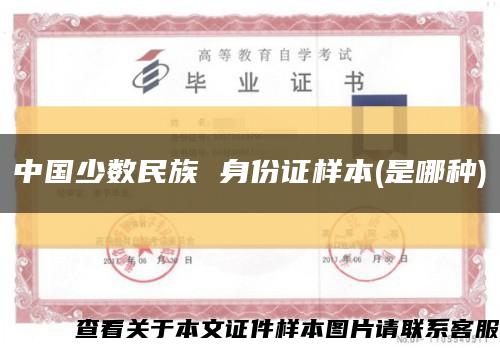 中国少数民族 身份证样本(是哪种)缩略图