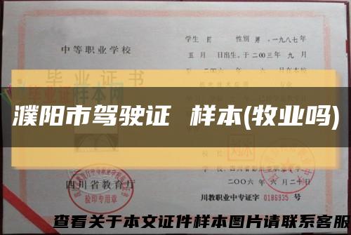 濮阳市驾驶证 样本(牧业吗)缩略图