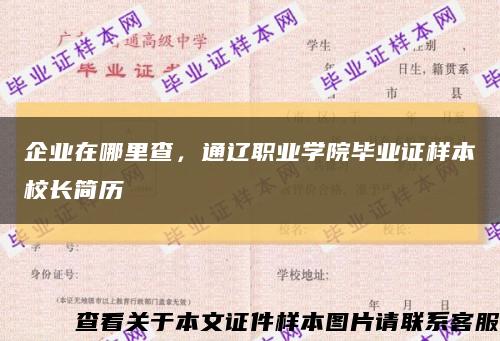 企业在哪里查，通辽职业学院毕业证样本校长简历缩略图