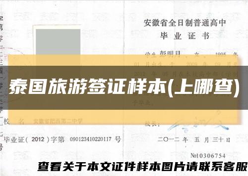 泰国旅游签证样本(上哪查)缩略图