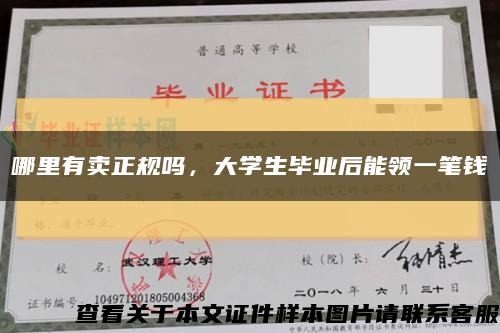 哪里有卖正规吗，大学生毕业后能领一笔钱缩略图