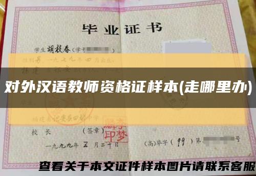 对外汉语教师资格证样本(走哪里办)缩略图