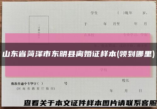 山东省菏泽市东明县离婚证样本(领到哪里)缩略图