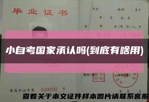 小自考国家承认吗(到底有啥用)缩略图
