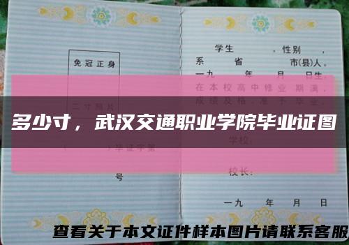 多少寸，武汉交通职业学院毕业证图缩略图