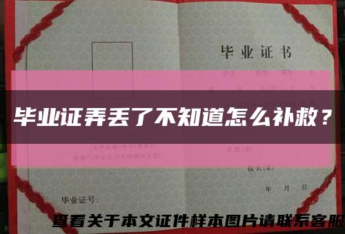 毕业证弄丢了不知道怎么补救？缩略图
