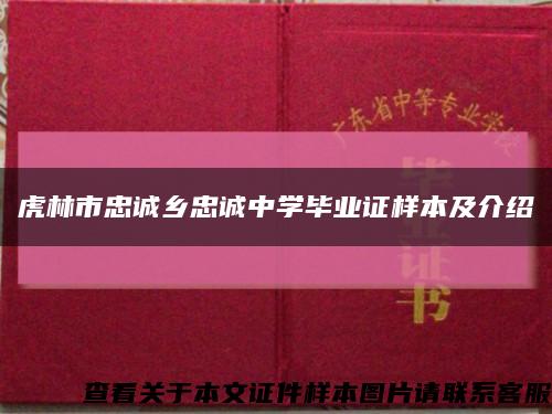 虎林市忠诚乡忠诚中学毕业证样本及介绍缩略图
