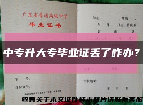 中专升大专毕业证丢了咋办？缩略图