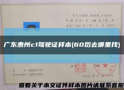 广东惠州c1驾驶证样本(60后去哪里找)缩略图