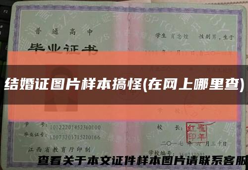 结婚证图片样本搞怪(在网上哪里查)缩略图