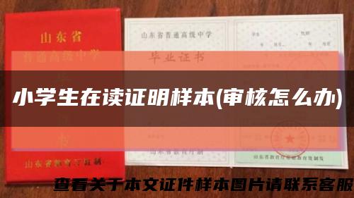 小学生在读证明样本(审核怎么办)缩略图