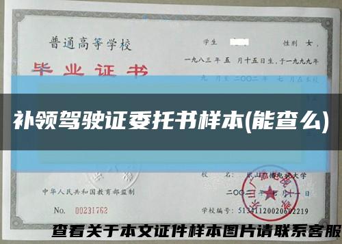 补领驾驶证委托书样本(能查么)缩略图