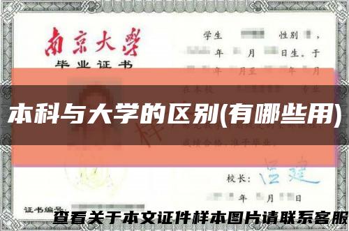 本科与大学的区别(有哪些用)缩略图