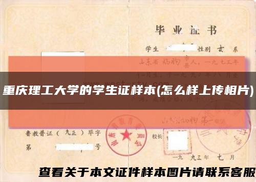 重庆理工大学的学生证样本(怎么样上传相片)缩略图
