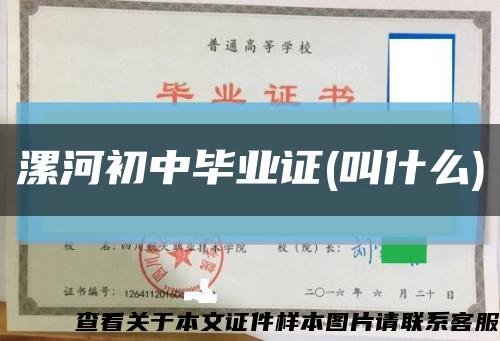 漯河初中毕业证(叫什么)缩略图
