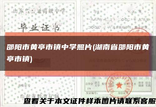 邵阳市黄亭市镇中学照片(湖南省邵阳市黄亭市镇)缩略图