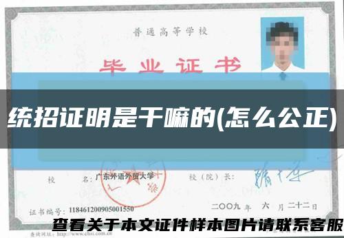 统招证明是干嘛的(怎么公正)缩略图