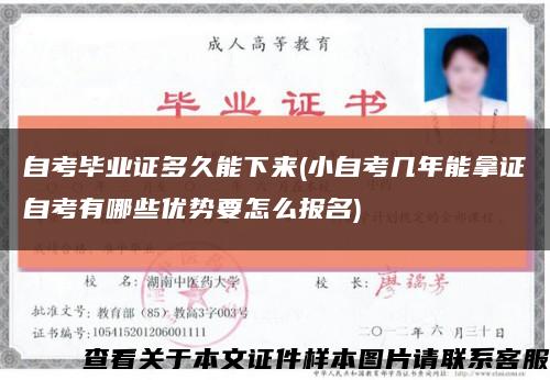 自考毕业证多久能下来(小自考几年能拿证自考有哪些优势要怎么报名)缩略图