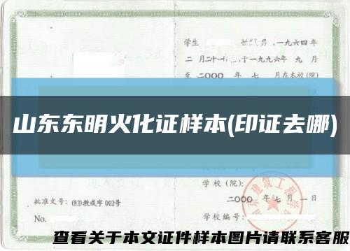 山东东明火化证样本(印证去哪)缩略图