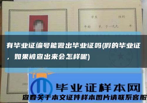 有毕业证编号能做出毕业证吗(假的毕业证，如果被查出来会怎样呢)缩略图