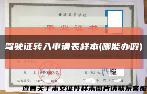驾驶证转入申请表样本(哪能办假)缩略图