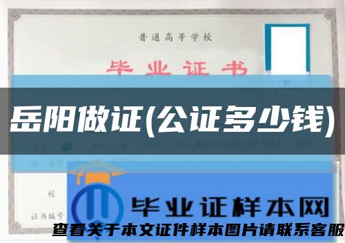 岳阳做证(公证多少钱)缩略图