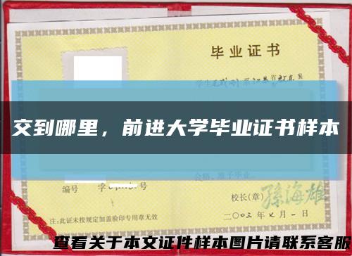 交到哪里，前进大学毕业证书样本缩略图