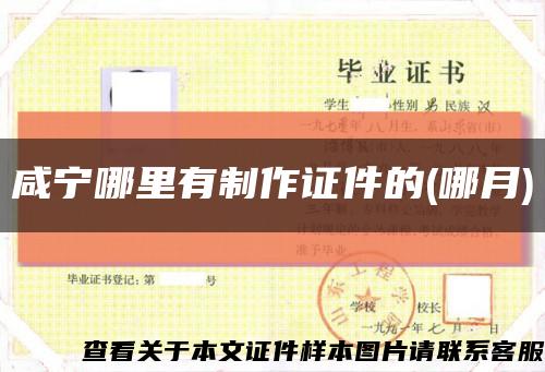 咸宁哪里有制作证件的(哪月)缩略图