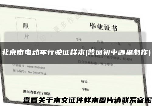北京市电动车行驶证样本(普通初中哪里制作)缩略图