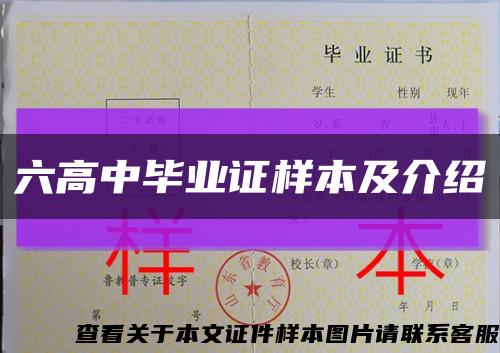 六高中毕业证样本及介绍缩略图