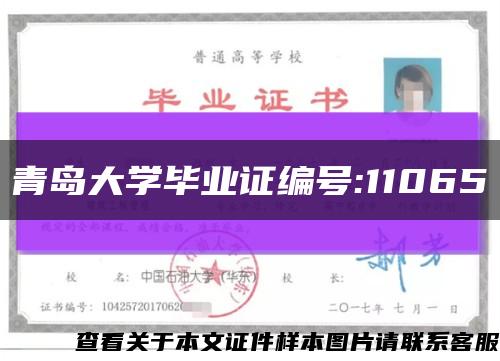 青岛大学毕业证编号:11065缩略图