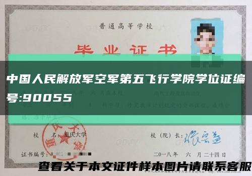 中国人民解放军空军第五飞行学院学位证编号:90055缩略图
