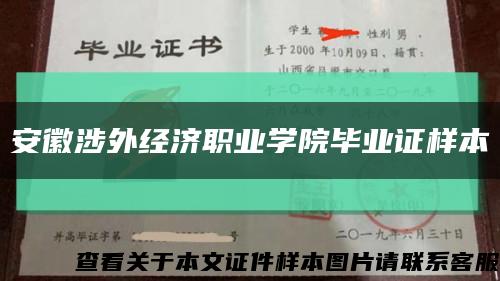 安徽涉外经济职业学院毕业证样本缩略图