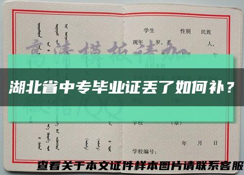湖北省中专毕业证丢了如何补？缩略图