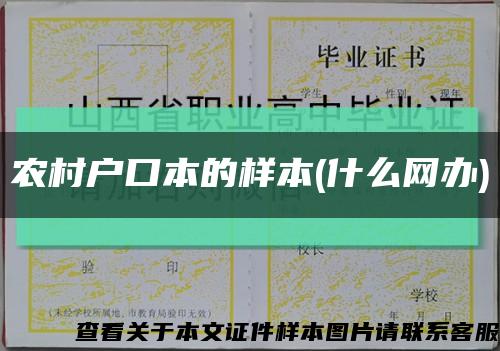 农村户口本的样本(什么网办)缩略图