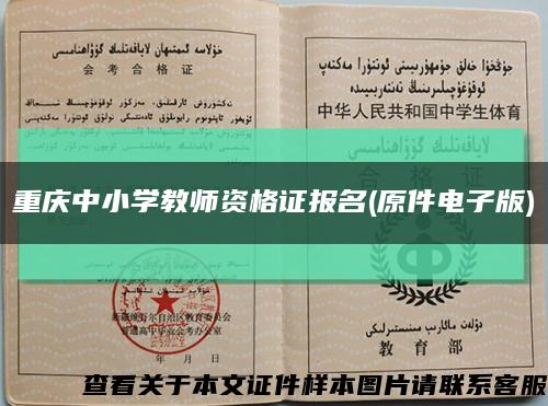 重庆中小学教师资格证报名(原件电子版)缩略图