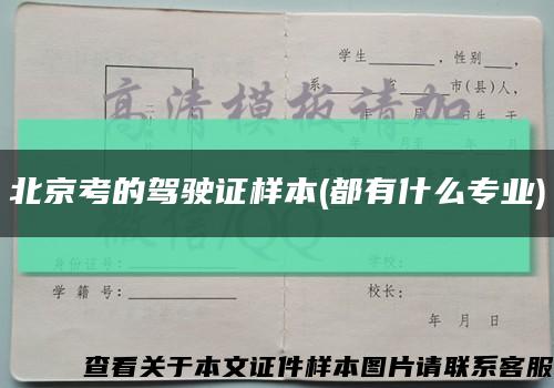 北京考的驾驶证样本(都有什么专业)缩略图