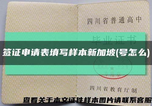 签证申请表填写样本新加坡(号怎么)缩略图