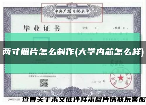 两寸照片怎么制作(大学内芯怎么样)缩略图