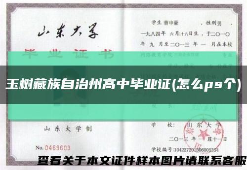 玉树藏族自治州高中毕业证(怎么ps个)缩略图