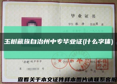 玉树藏族自治州中专毕业证(什么字体)缩略图